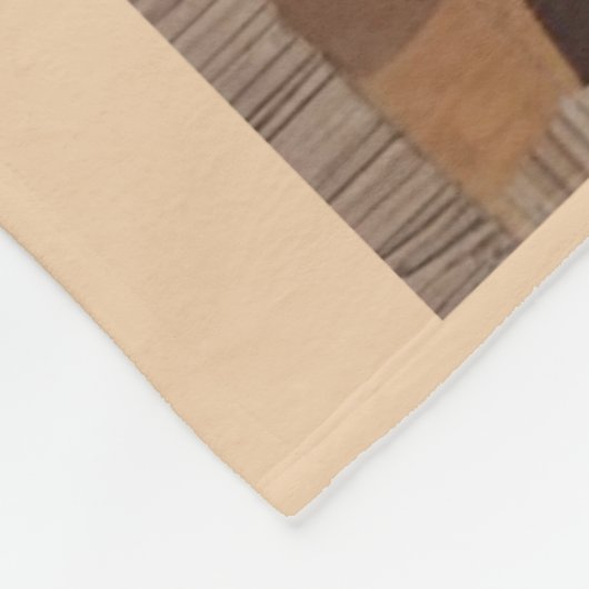 Couverture de cheval (Coin)