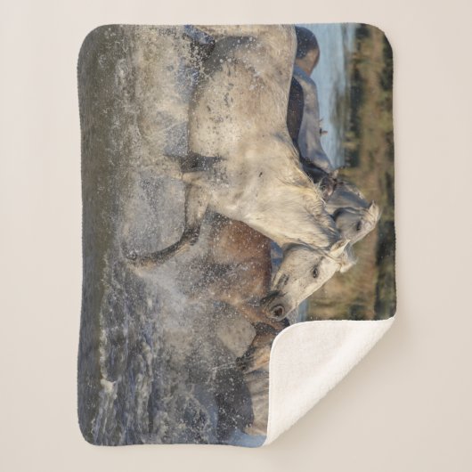 couverture de chevaux de course (Devant)