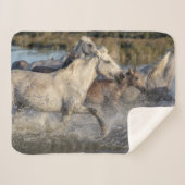 couverture de chevaux de course (Devant (Horizontal))