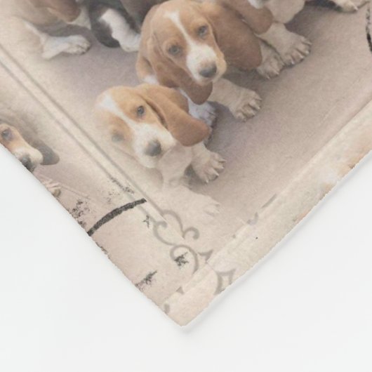 Couverture de chien de basset (Coin)