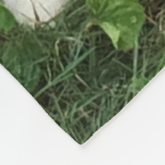 Couverture de chien de berger de Shetland (Coin)