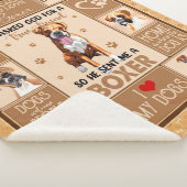 Couverture de chien de boîte personnalisée, (3/4)
