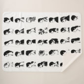 Couverture de classe E3 (Devant (Horizontal))