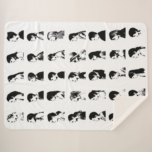 Couverture de classe E3 (Devant (Horizontal))