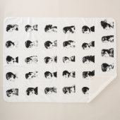 Couverture de classe P2 (Devant (Horizontal))