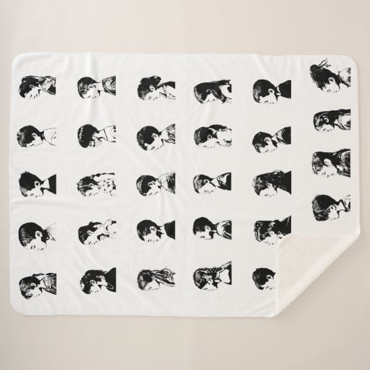 Couverture de classe P2 (Devant (Horizontal))