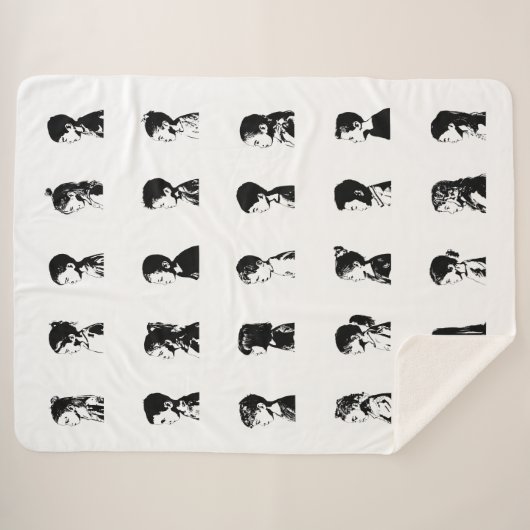 Couverture de classe P4 (Devant (Horizontal))