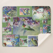 couverture de colibri (Devant (Horizontal))