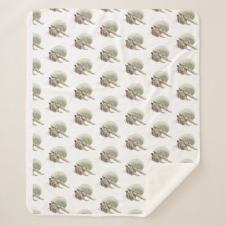 Couverture de crabe Hermite Moyen