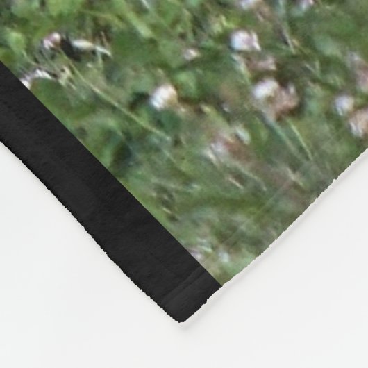 Couverture de guépard (Coin)