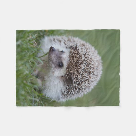 Couverture de hérisson (Devant (Horizontal))