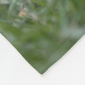 Couverture de hérisson (Coin)