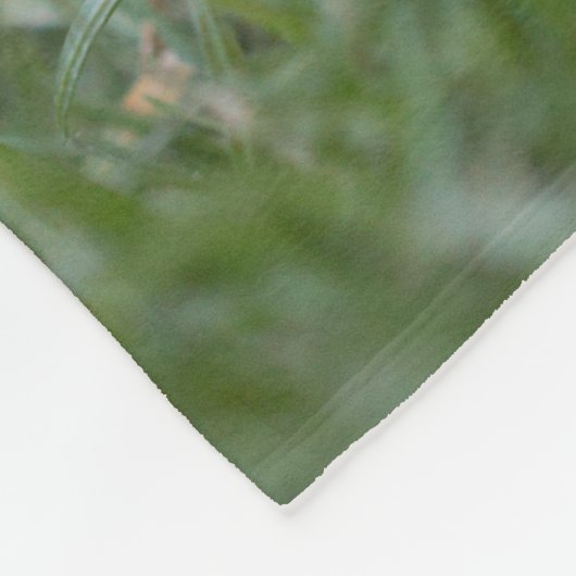 Couverture de hérisson (Coin)