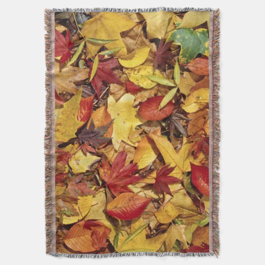 Couverture de jet de chute d'automne (devant Vertical)