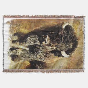 Couverture de jet de peinture de Buffalo