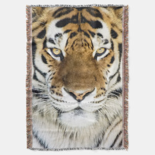 Couverture de jet de tigre