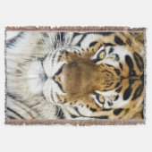 Couverture de jet de tigre (Devant)