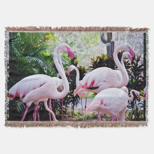 Couverture de jet tropicale Paradis Flamant Rose