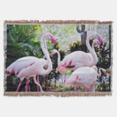 Couverture de jet tropicale Paradis Flamant Rose (Devant)