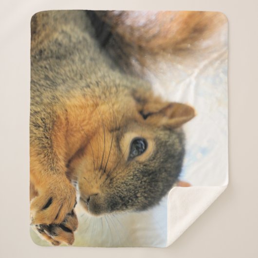 Couverture de jeton à manger (Devant)