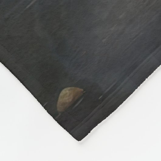 Couverture de la flotte (Coin)