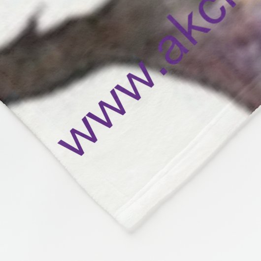 Couverture de la flotte de bouleau Adams (Coin)