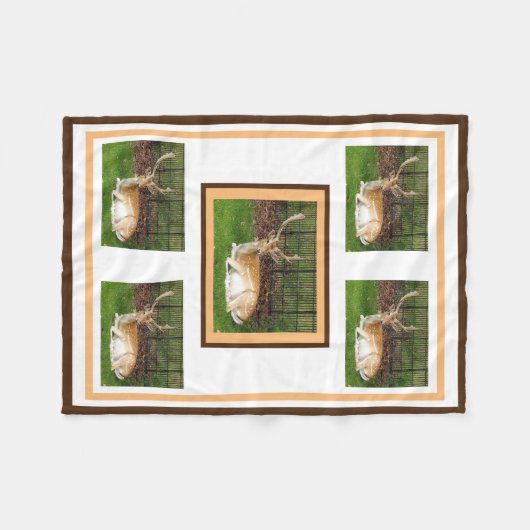 Couverture de la flotte de cerfs en jachère (Devant (Horizontal))