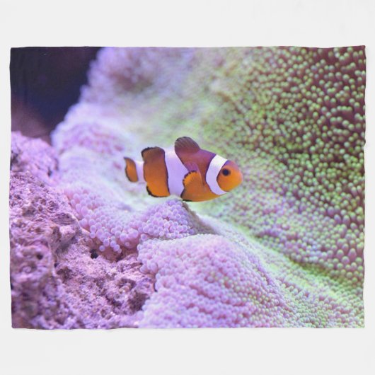 Couverture de la flotte de poisson (Devant (Horizontal))