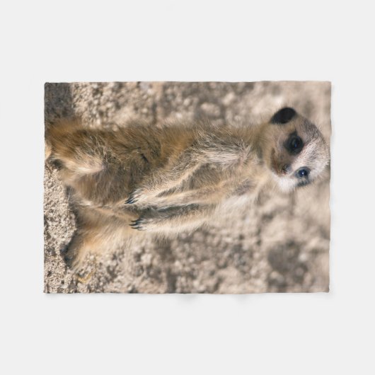 Couverture de la flotte de sentinelle (Devant (Horizontal))