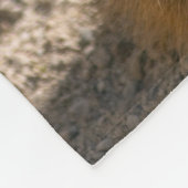 Couverture de la flotte de sentinelle (Coin)