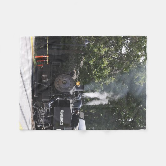 Couverture de la flotte de train à vapeur (Devant (Horizontal))