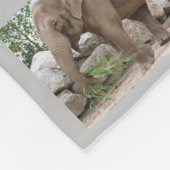 Couverture de la flotte d'éléphants (Coin)