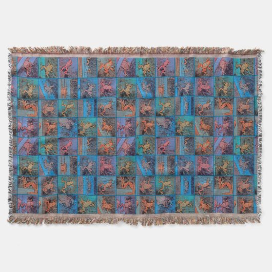 Couverture de la grenouille multicolore (Devant)