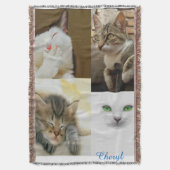 Couverture de lancement Amoureux des chats (devant Vertical)