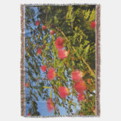 Couverture de lancement d'arbre de soie persan (devant Vertical)