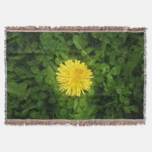 Couverture de lancement de Dandelion