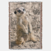 Couverture de lancer pour sentinelle en formation (devant Vertical)