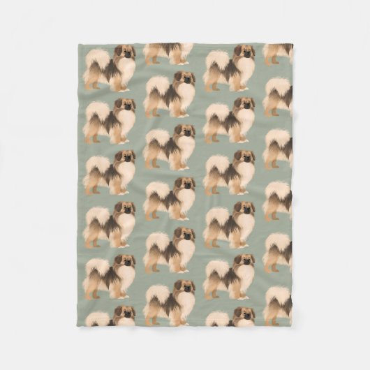 Couverture de l'Espagne tibétaine (sable) (Devant)