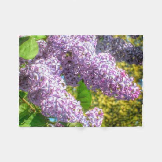 Couverture de lilas (Devant (Horizontal))