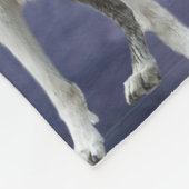 couverture de loup (Coin)