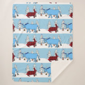 Couverture de Noël Pawl et Babe (Devant)