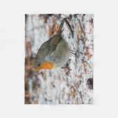 Couverture de Robin (Devant)