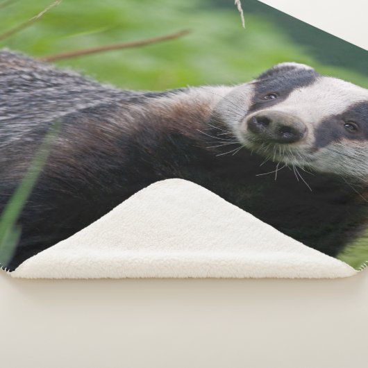 Couverture de Sherpa de blaireau (3/4)