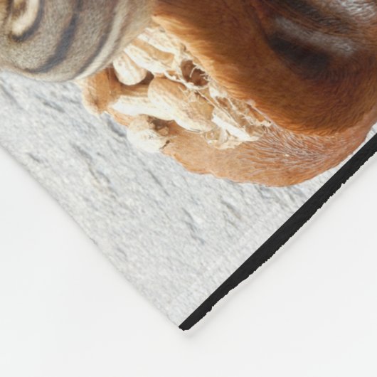 Couverture de tamia d'ouatine avec 11 Chipmunks. (Coin)