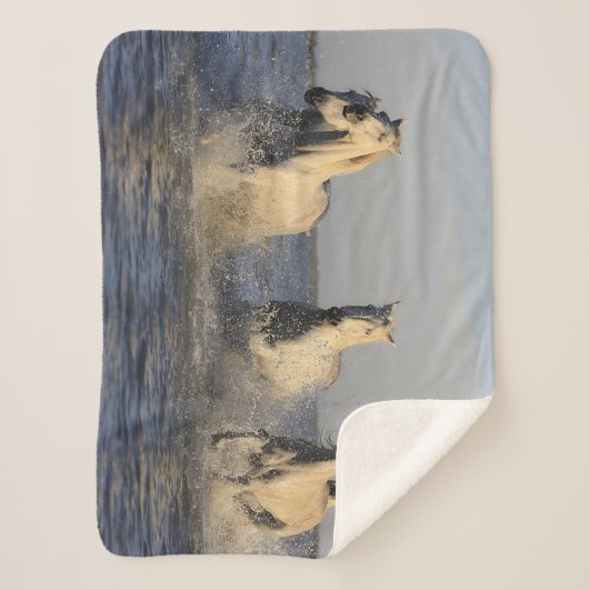 couverture de troupeau de chevaux (Devant)