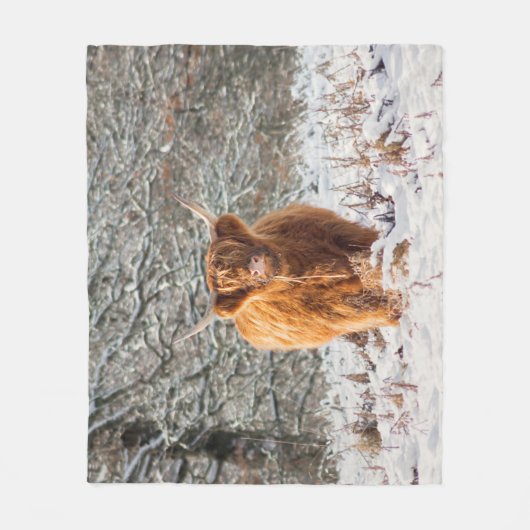 Couverture de vache écossaise (Devant)