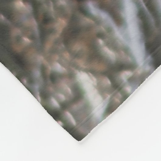 Couverture de vache écossaise (Coin)