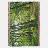 Couverture Der Wald im Frühling (devant Vertical)