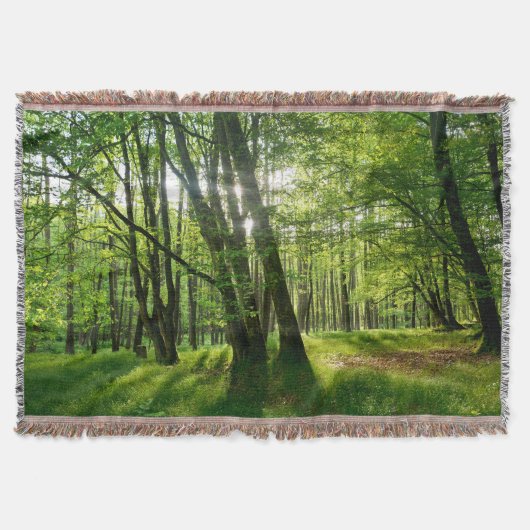 Couverture Der Wald im Frühling (Devant)