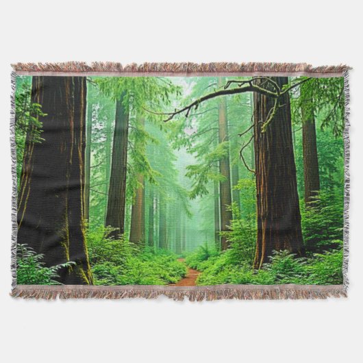 Couverture Design de tranquillité de la forêt de Redwood (Devant)